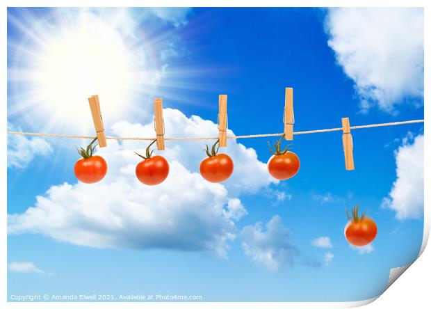 Sun Dried Tomatoes Print by Amanda Elwell