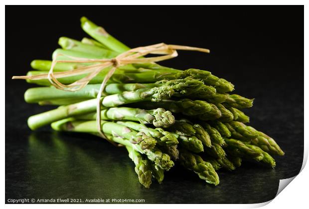 Fresh Asparagus Tips Print by Amanda Elwell