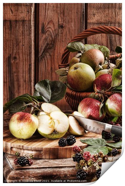 Rustic Apples Print by Amanda Elwell