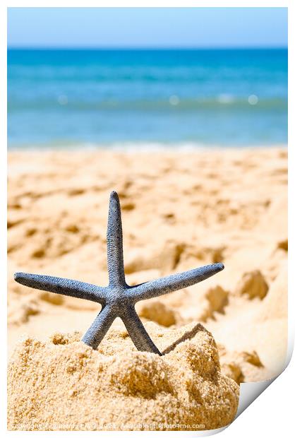 Starfish In Sandcastle Print by Amanda Elwell