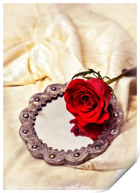 Red Rose On Mirror Print by Amanda Elwell