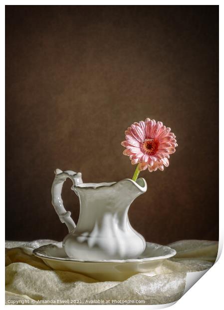 Single Gerbera Flower Print by Amanda Elwell