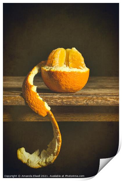 Single Orange Print by Amanda Elwell