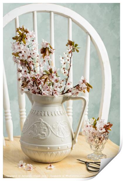 Prunus Spring Blossom Print by Amanda Elwell