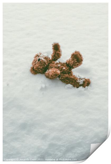Teddy Bear In Snow Print by Amanda Elwell