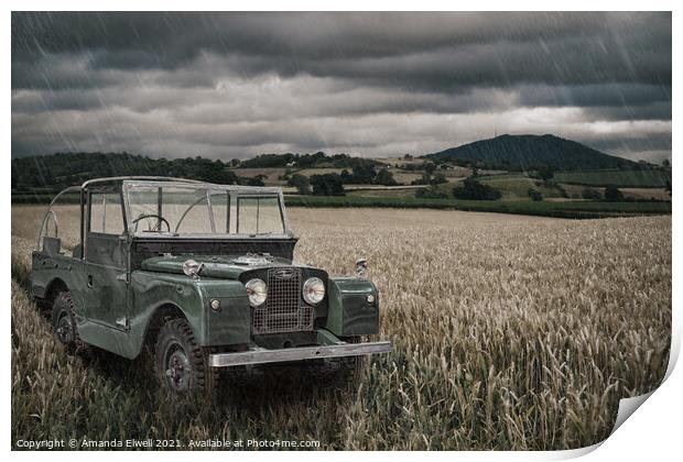 Vintage Land Rover in Field Print by Amanda Elwell