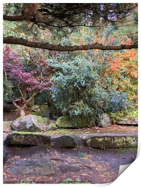 Autumn Colours at Calderstones Park Print by Melissa Theobald