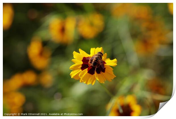 Bee Power Print by Mark ODonnell