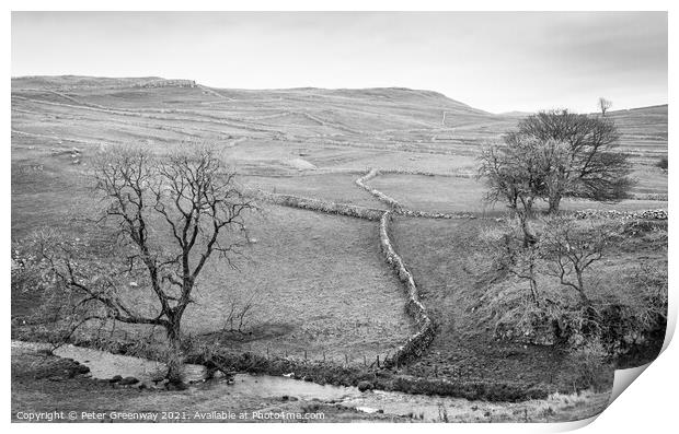 The Landscape Around Malham Cove Print by Peter Greenway