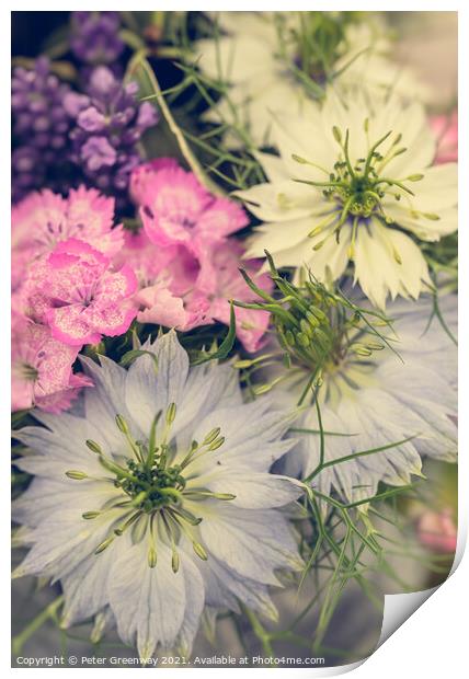 Floral Arrangement Featuring Love-In-A-Mist Flowers Print by Peter Greenway