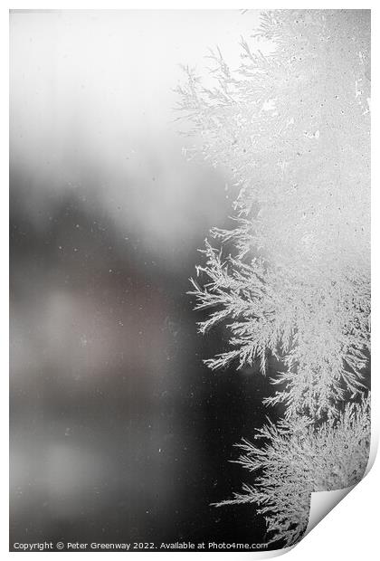 Frost Fractal Patterns On A Pane Of Glass After A Haw Frost Print by Peter Greenway