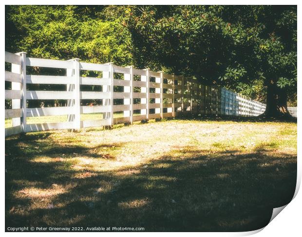 19th Century Plantation Fencing In Tennessee Print by Peter Greenway