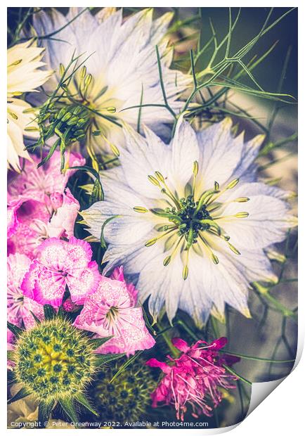 Floral Arrangement Featuring Love-In-A-Mist Flower Print by Peter Greenway