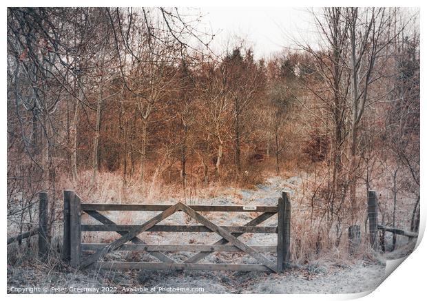 English Winter Woodland in the Frost with Wooden G Print by Peter Greenway