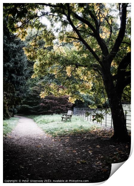 Wooden Bench Seat Amongst Autumnal Leaves On The Trees At Batsfo Print by Peter Greenway