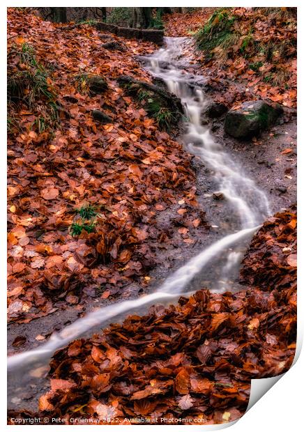 A Little Waterfall On The May Beck River In The North Yorkshire Moor In Autumn Print by Peter Greenway