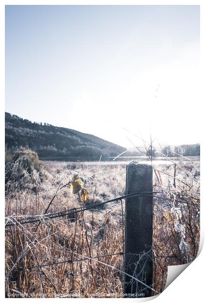 Frosty Fence Post And Grasses In The Scottish Highlands Print by Peter Greenway