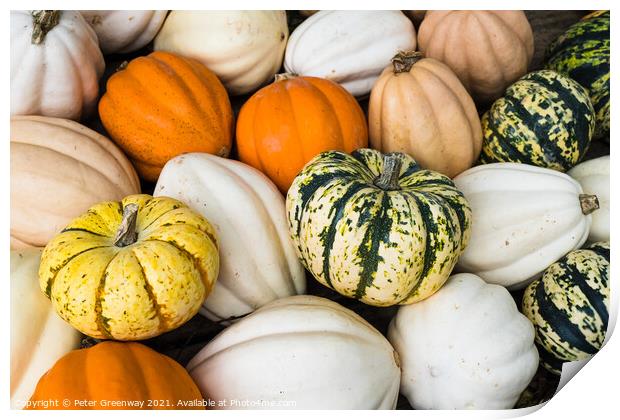 Colourful Gourds & Pumpkins On Sale In An Amish Store In Tennessee Print by Peter Greenway