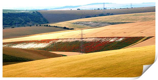 Devils Dyke 2 Print by Gö Vān