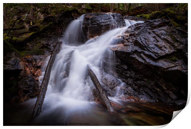 Small waterfall in the forest Print by Chuck Koonce