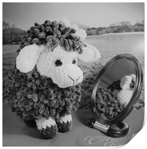 toy sheep in front of the mirror, translation 