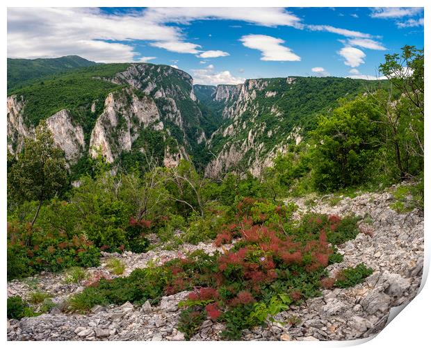 Lazar's Canyon / Lazarev kanjon the deepest and longest canyon in eastern Serbia Print by Mirko Kuzmanovic