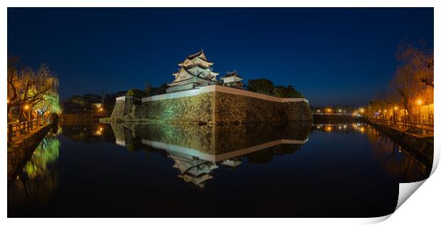 Kishiwada castle (Chikiri Castle) in Kishiwada city, Osaka Prefecture, Japan Print by Mirko Kuzmanovic