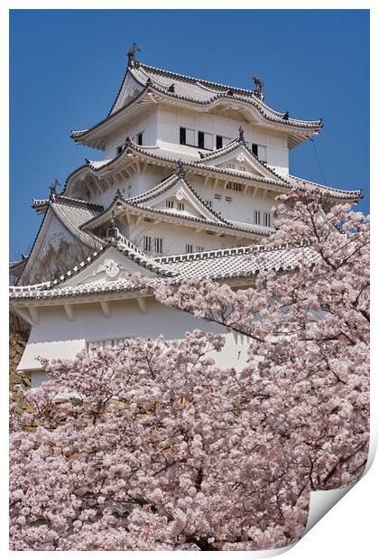 Himeji castle during the cherry blossom sakura season Print by Mirko Kuzmanovic