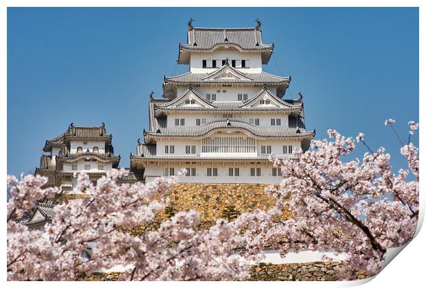 Himeji castle during the cherry blossom sakura season Print by Mirko Kuzmanovic
