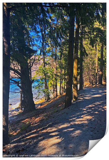 Queenstown Forest Footpath Print by Graham Lathbury