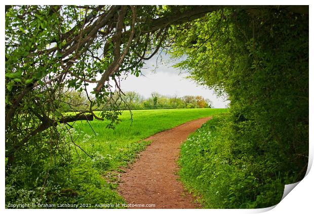 A field viewed forest track Print by Graham Lathbury