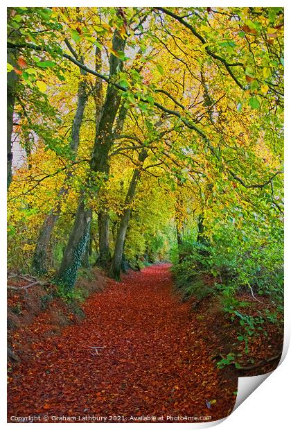 Autumnal Westridge Woods, Cotswolds Print by Graham Lathbury