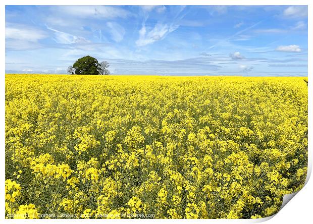 Cotswolds Rapeseed Field Print by Graham Lathbury