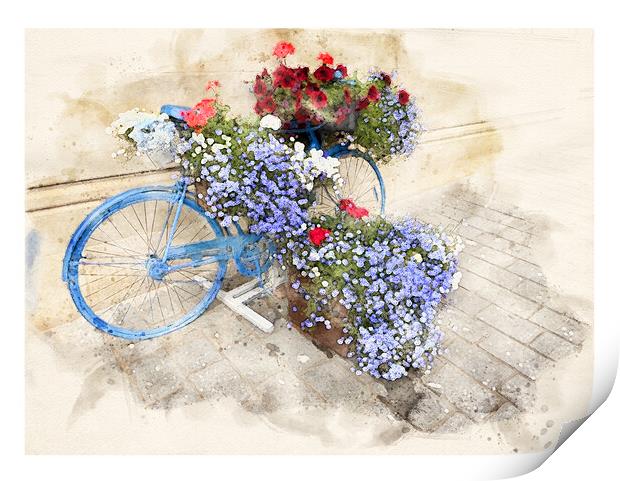 Exeter Bicycle flowers, watercolour Print by Graham Lathbury