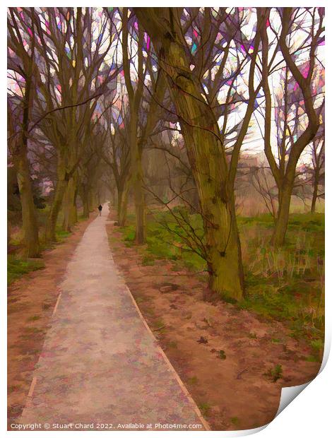 Woodland Path Lichfield Print by Stuart Chard