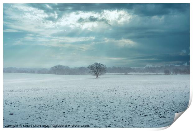 Lone tree in a snow covered landscape Print by Stuart Chard