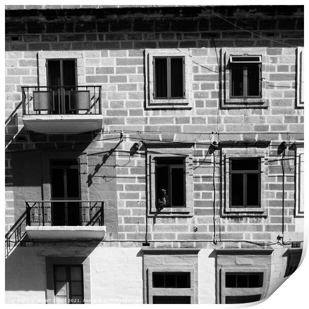 Valletta apartments and windows Print by Stuart Chard