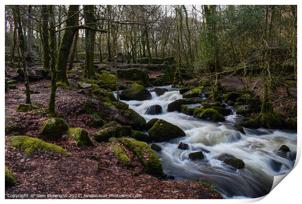 Water flow at Kennall Vale Print by Sam Plowright