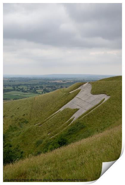 The Westbury white horse Print by Peter Wiseman