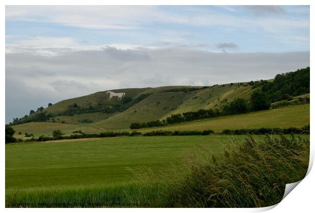 The Westbury white horse Print by Peter Wiseman