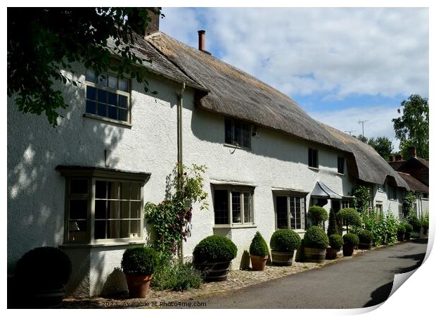  A row of cottages in Avebury Print by Peter Wiseman