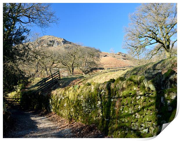 The Coffin Road from Grasmere to Rydal Water Print by Peter Wiseman