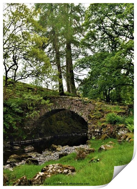 Old packhorse bridge on the River Lowther Print by Peter Wiseman