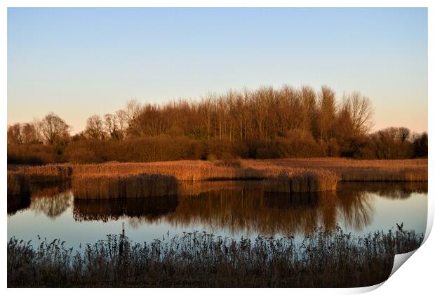 View from the Reedbed Hide at the RSPB Fowlmere Na Print by Peter Wiseman