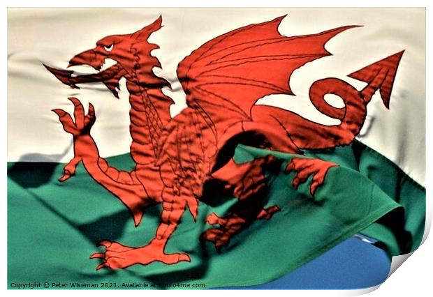 The Welsh Dragon Print by Peter Wiseman