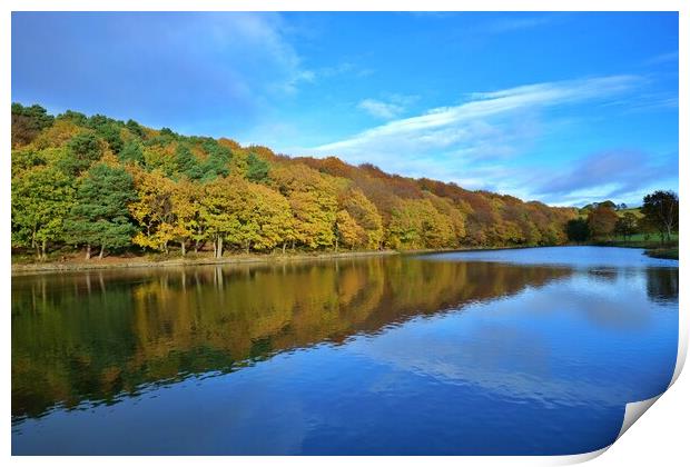 Autumn colour reflections Print by Roy Hinchliffe