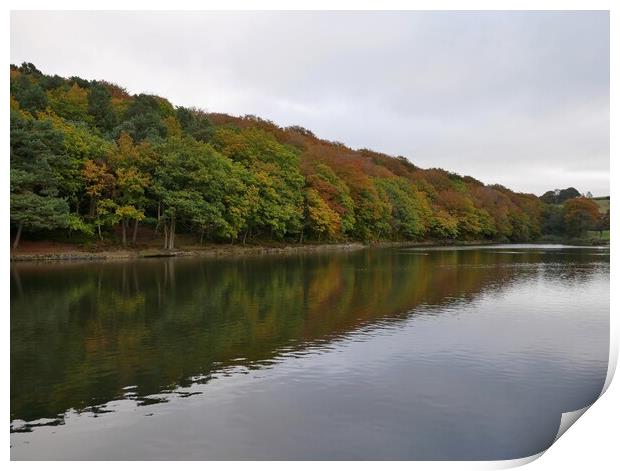 Autumn colours reflections Huddersfield Print by Roy Hinchliffe