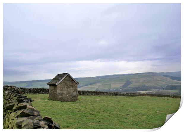 Shepheard's hut Print by Roy Hinchliffe