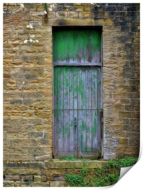 The old green door Print by Roy Hinchliffe