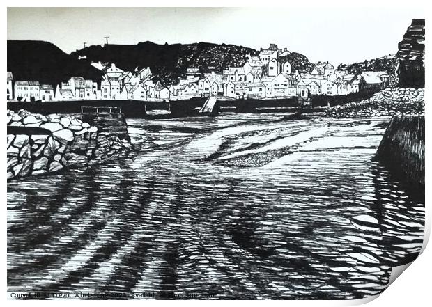Staithes Harbour Print by Trevor Whetstone